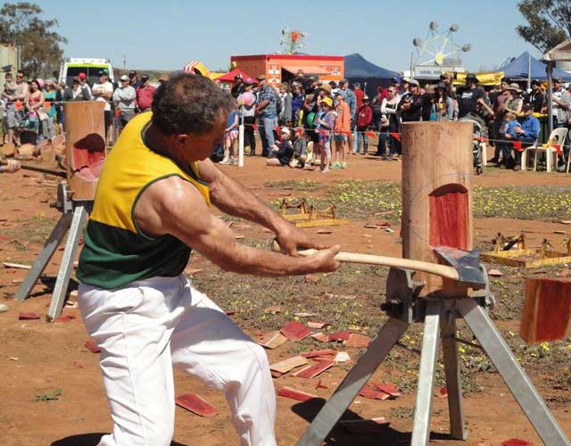 Chapman Valley Show