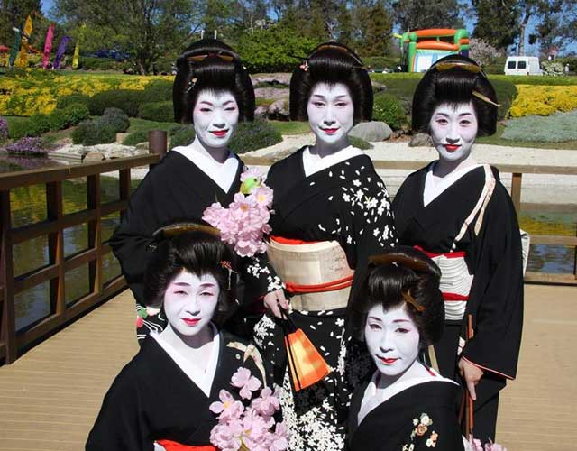 Sakura Matsuri Cherry Blossom Festival