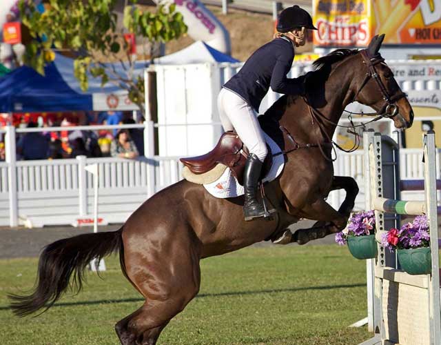 Sunshine Coast Show