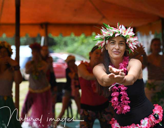 Wallaby Creek Festival
